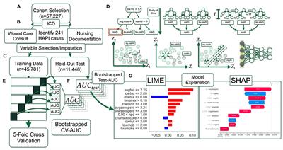 Machine Learning Approaches for Hospital Acquired Pressure Injuries: A Retrospective Study of Electronic Medical Records